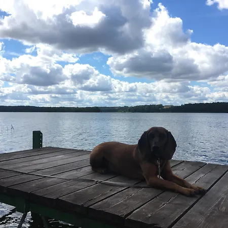 Orman Evi Osrodek Wypoczynkowy Sielawa