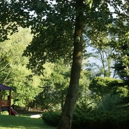 Lodge Osrodek Wypoczynkowy Sielawa *