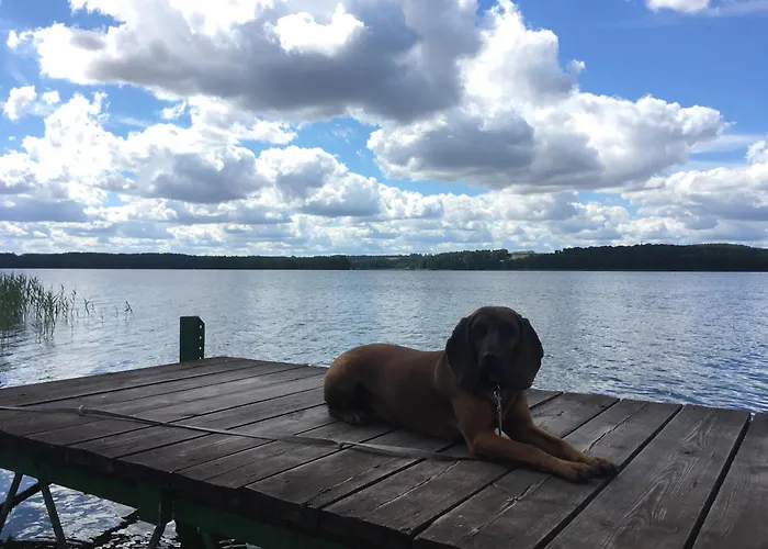 Orman Evi Osrodek Wypoczynkowy Sielawa