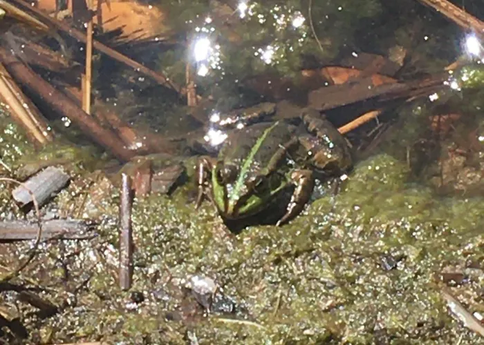 Osrodek Wypoczynkowy Sielawa Orman Evi *