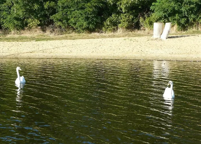 Osrodek Wypoczynkowy Sielawa Lodge Chrzypsko Wielkie